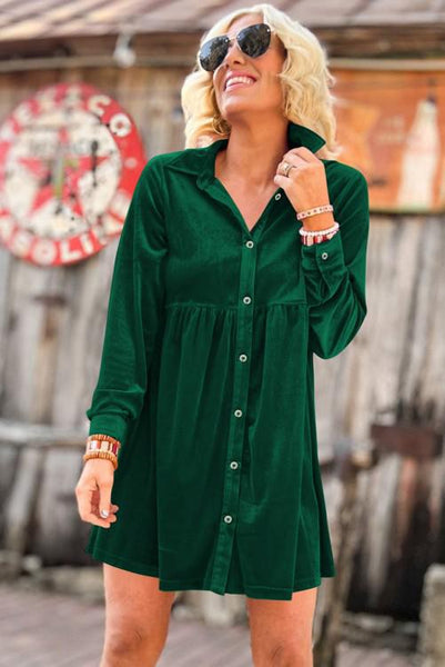 Velvet Button Up Dress