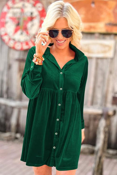 Velvet Button Up Dress